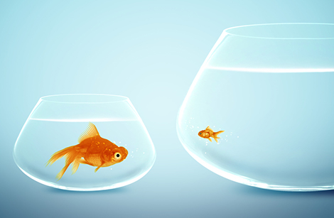 未标题-1.jpg 未标题-1.jpg