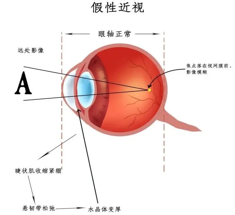 微信图片_20230412082035.jpg 微信图片_20230412082035.jpg